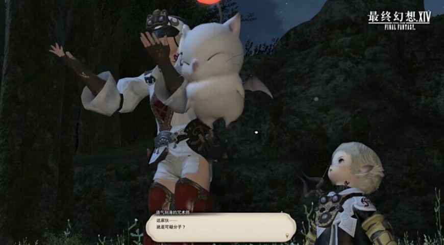 ff14