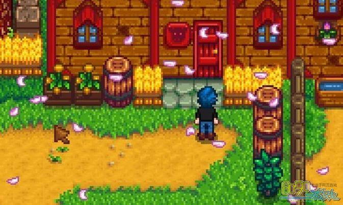 Stardew Valley,ɫô